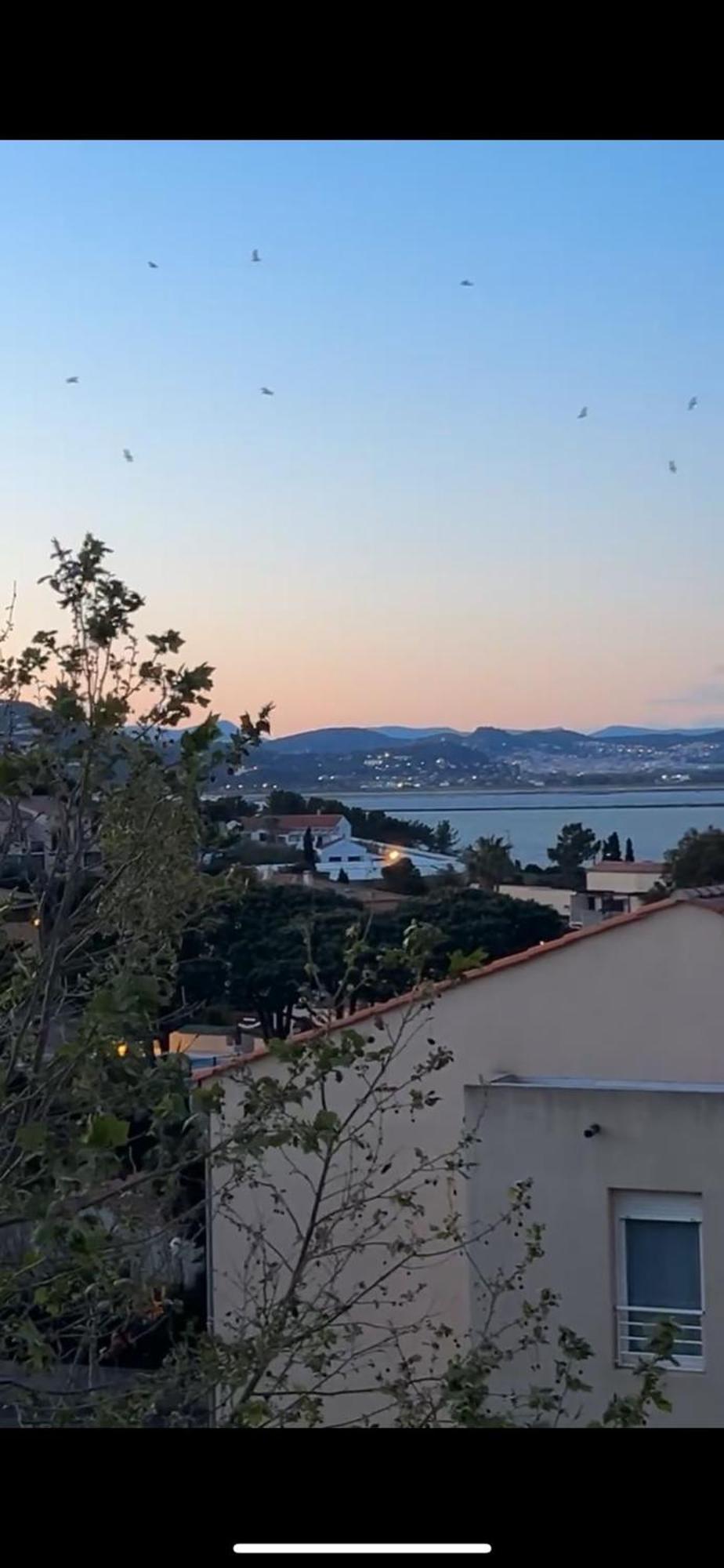 Superbe Duplex Refait A Neuf ! Lejlighed Hyères Eksteriør billede